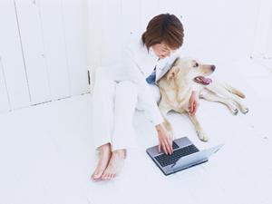 業務用シュレッダーに必要な性能